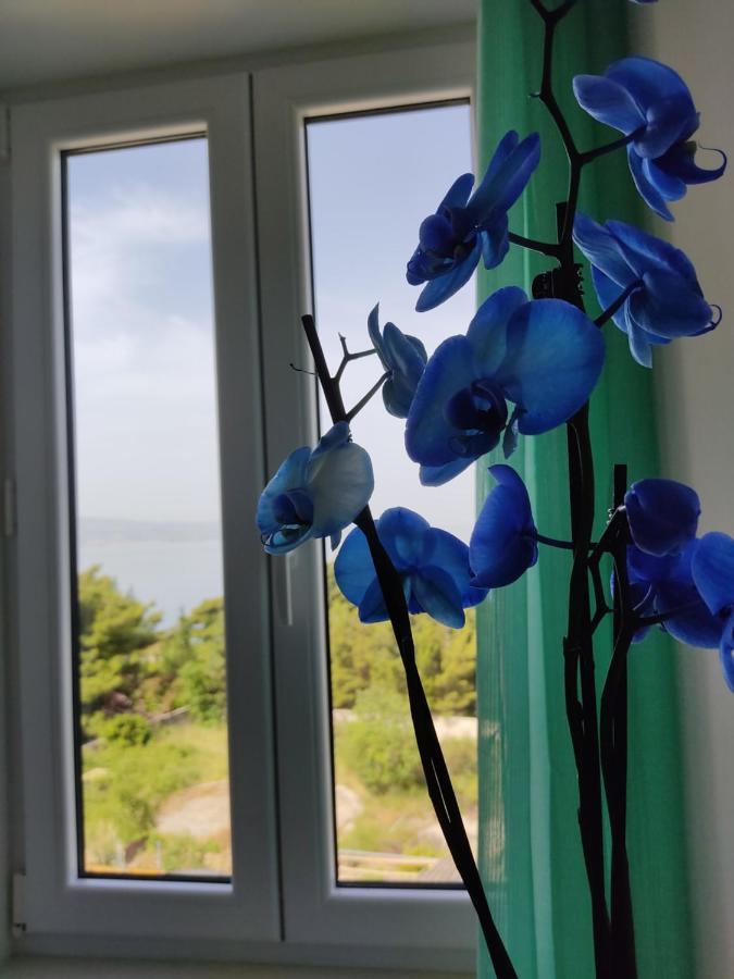 Apartment Ravnice オミシュ エクステリア 写真